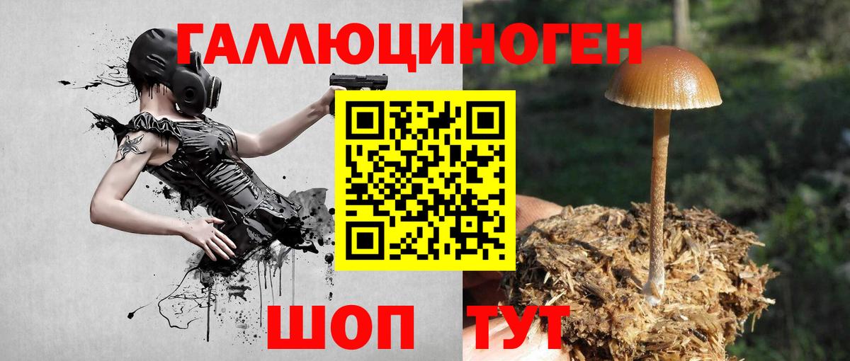 Псилоцибиновые грибы прущие грибы  Псилоцибиновые грибы прущие грибы  Морозовск  Вход с VPN 